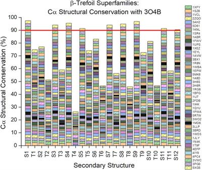 Variable and Conserved Regions of Secondary Structure in the β-Trefoil Fold: Structure Versus Function